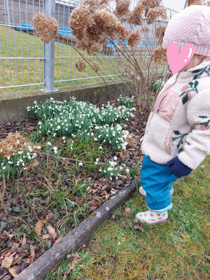 Der Frühling kommt.