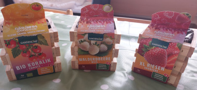 Tomaten und Erdbeeren